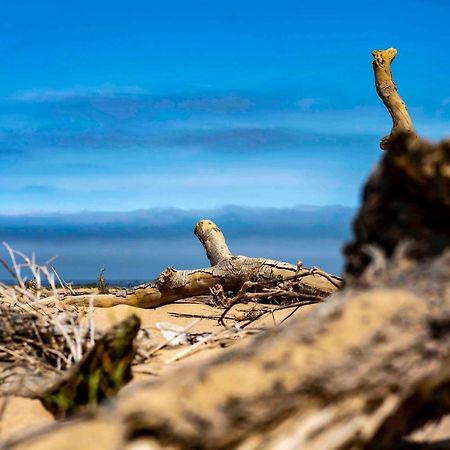 Shipwreck Lodge Mowebaai Luaran gambar