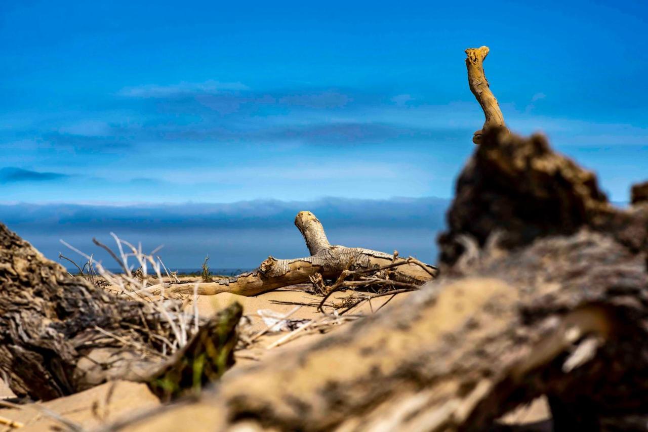 Shipwreck Lodge Mowebaai Luaran gambar