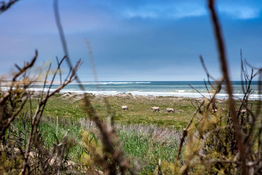 Shipwreck Lodge Mowebaai Luaran gambar