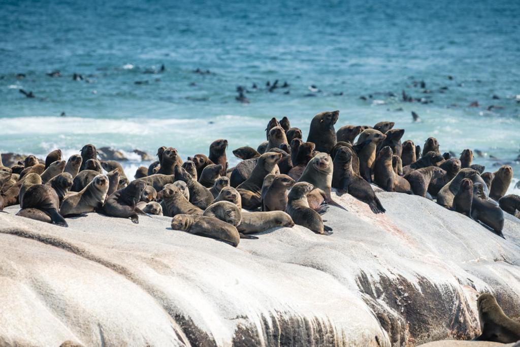 Shipwreck Lodge Mowebaai Luaran gambar